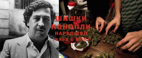 ALPHA PVP Богородицк