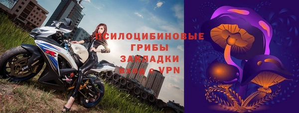 ALPHA PVP Богородицк