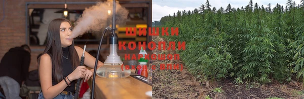 ALPHA PVP Богородицк